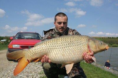 ccarp - 1359744573961.jpg